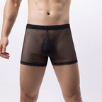 Men’s Sheer Mesh Lingerie Set – Transparent Crop Top & Shorts